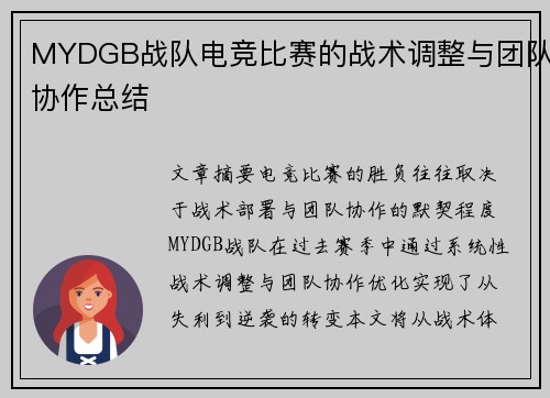 MYDGB战队电竞比赛的战术调整与团队协作总结